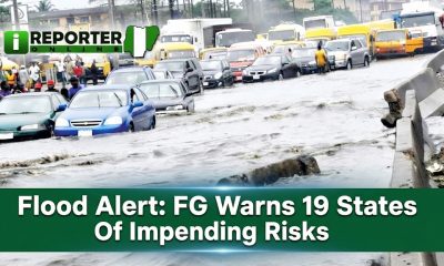 c39f5838 51cd 417e a2fb e56a3cc881b3
