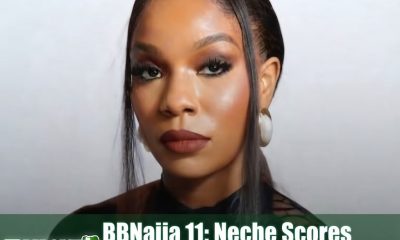 fab96ad0 660a 4832 be7f 5f13fabbb128