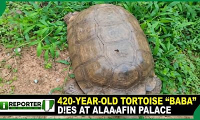 photo 2026 09 17 21 08 28